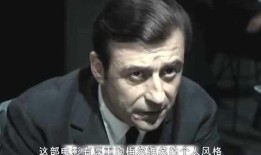 独行杀手电影在线观看,孤胆英雄的生死追击