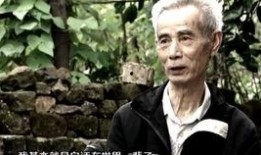 冤案视频爆料大全最新,揭开真相，探寻正义之路