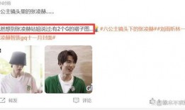 圈内爆料白鹿张凌赫视频