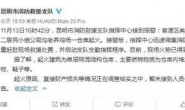 爆料养鸡套路视频大全,养鸡套路视频大全深度解析